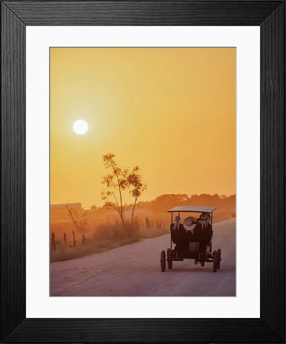 Framed Print : Horse-drawn cart on the dirt road at sunset, Mennonite Settlement, Shipyard, Orange Walk District, Belize Framed Print : Horse-drawn cart on the dirt road at sunset, Mennonite Settlement, Shipyard, Orange Walk District, Belize