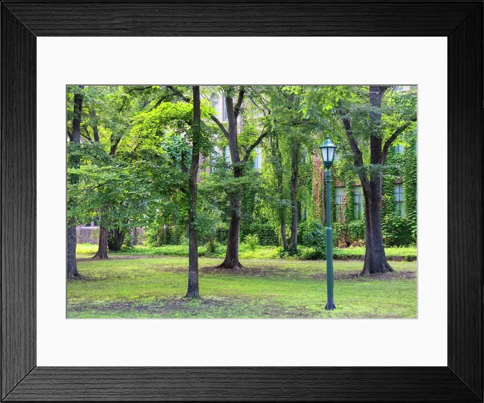 Framed Print : Campus of Hokkaido University, Sapporo, Hokkaido, Japan