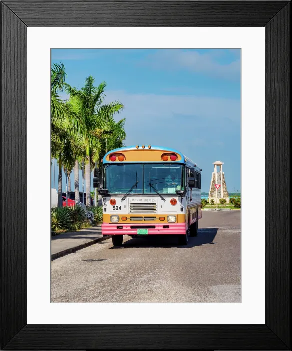 Framed Print : Typical Blue Bird Bus at the street of Belize City, Belize District, Belize Framed Print : Typical Blue Bird Bus at the street of Belize City, Belize District, Belize