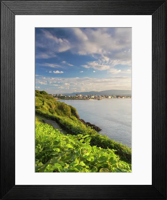 Framed Print : Cape Tachimachi, Hakodate, Hokkaido, Japan Framed Print : Cape Tachimachi, Hakodate, Hokkaido, Japan