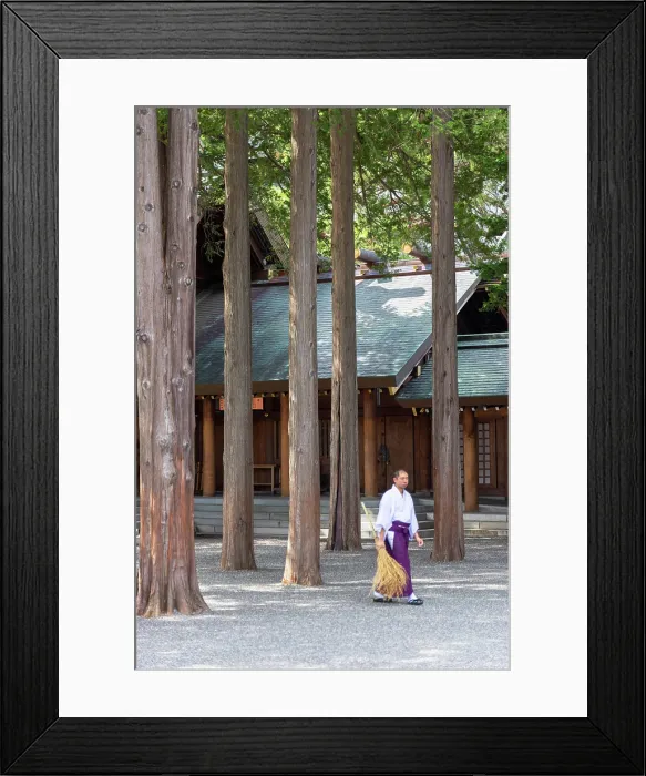 Framed Print : Man sweeping at Jingu Shinto Shrine, Sapporo, Hokkaido, Japan Framed Print : Man sweeping at Jingu Shinto Shrine, Sapporo, Hokkaido, Japan