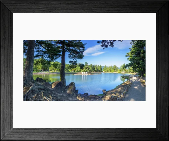 Framed Print : Oizumigaike Pond at Motsu-ji Temple (UNESCO World Heritage Site), Hiraizumi, Iwate, Japan Framed Print : Oizumigaike Pond at Motsu-ji Temple (UNESCO World Heritage Site), Hiraizumi, Iwate, Japan