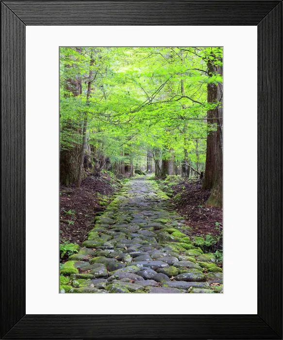 Framed Print : Original stone path in cedar forest (UNESCO World Heritage Site), Nikko, Tochigi, Japan Framed Print : Original stone path in cedar forest (UNESCO World Heritage Site), Nikko, Tochigi, Japan