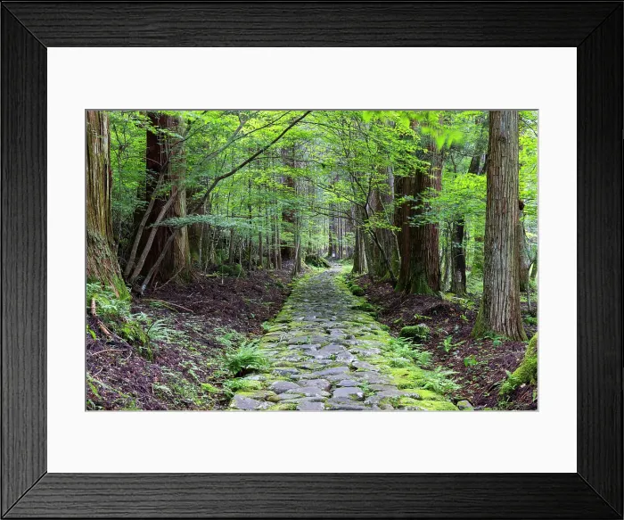 Framed Print : Original stone path in cedar forest (UNESCO World Heritage Site), Nikko, Tochigi, Japan Framed Print : Original stone path in cedar forest (UNESCO World Heritage Site), Nikko, Tochigi, Japan