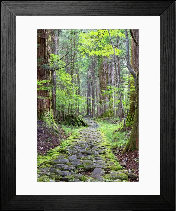 Framed Print : Original stone path in cedar forest (UNESCO World Heritage Site), Nikko, Tochigi, Japan Framed Print : Original stone path in cedar forest (UNESCO World Heritage Site), Nikko, Tochigi, Japan