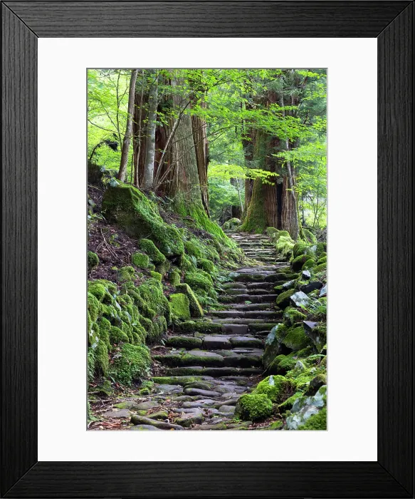 Framed Print : Original stone path in cedar forest (UNESCO World Heritage Site), Nikko, Tochigi, Japan Framed Print : Original stone path in cedar forest (UNESCO World Heritage Site), Nikko, Tochigi, Japan