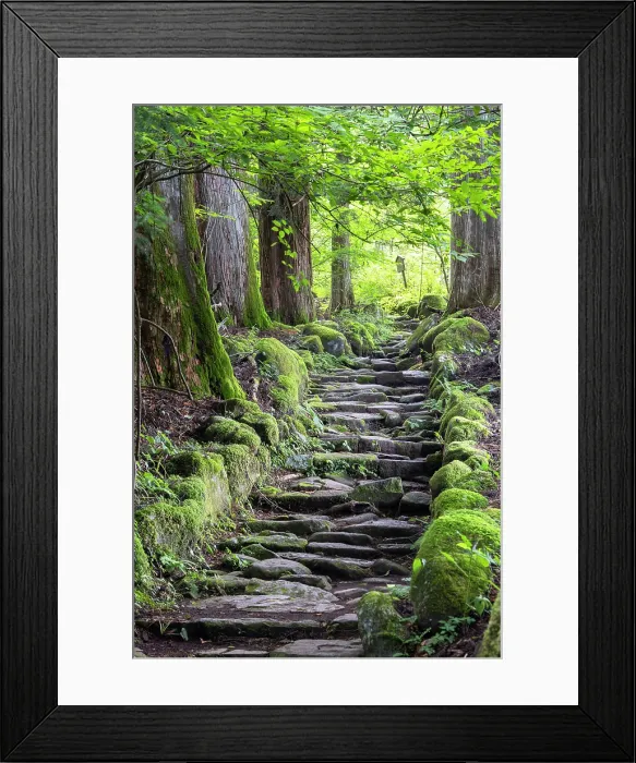 Framed Print : Original stone path in cedar forest (UNESCO World Heritage Site), Nikko, Tochigi, Japan Framed Print : Original stone path in cedar forest (UNESCO World Heritage Site), Nikko, Tochigi, Japan