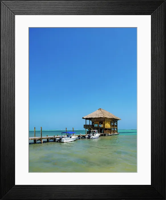 Framed Print : Rum Dog Bar and Grill, Ambergris Caye, Belize District, Belize Framed Print : Rum Dog Bar and Grill, Ambergris Caye, Belize District, Belize