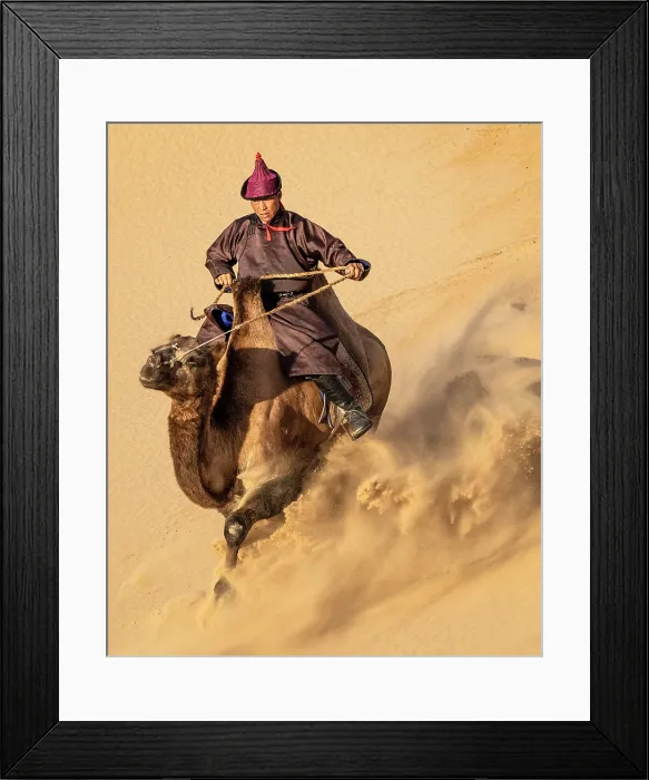 Framed Print : Camel herder riding his camel down a sand dune, Khongor Dunes, Gobi Desert, Mongolia, Asia Framed Print : Camel herder riding his camel down a sand dune, Khongor Dunes, Gobi Desert, Mongolia, Asia