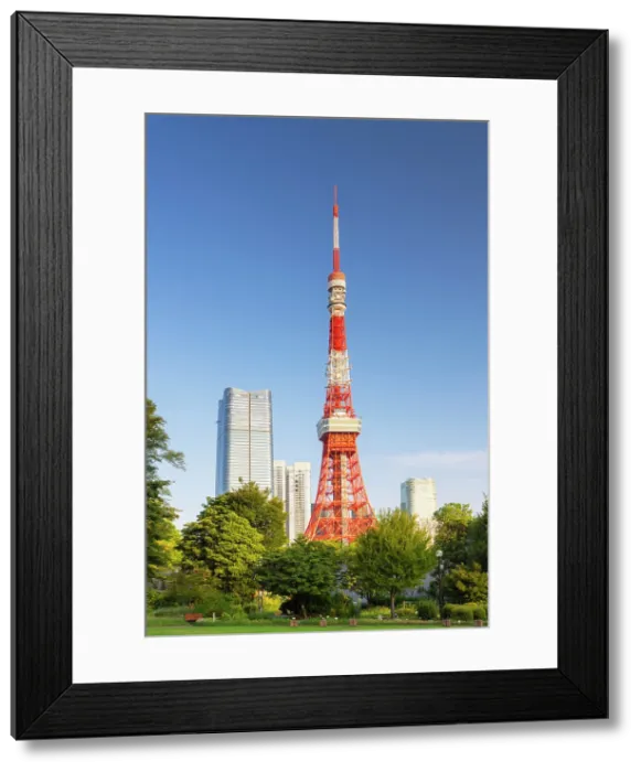Framed Print : Tokyo Tower from Shiba Park, Tokyo, Japan Framed Print : Tokyo Tower from Shiba Park, Tokyo, Japan