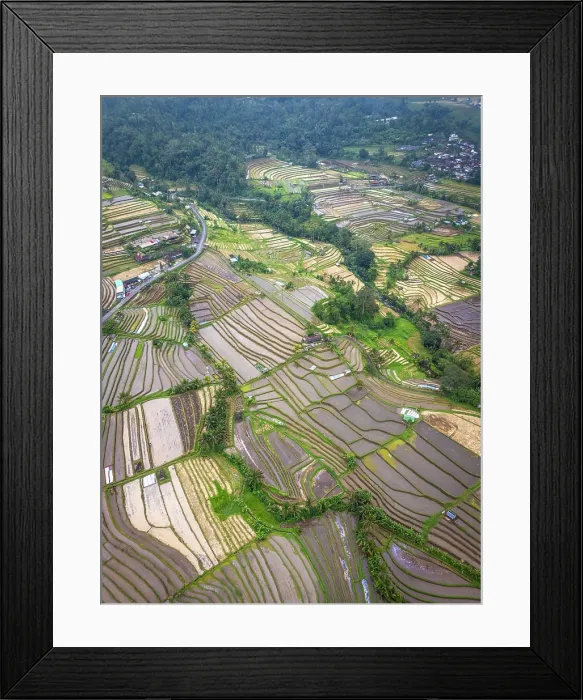 Framed Print : Flooded Rice Terraces at Jatiluwih, Bali, Indonesia Framed Print : Flooded Rice Terraces at Jatiluwih, Bali, Indonesia