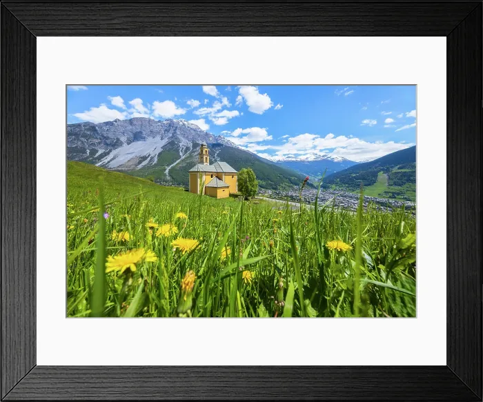 Framed Print : Spring flowers blooming in spring near the church of Madonna di Oga overlooking Bormio town. Bormio, Sondrio district, Valtellina, Lombardy, Italy Framed Print : Spring flowers blooming in spring near the church of Madonna di Oga overlooking Bormio town. Bormio, Sondrio district, Valtellina, Lombardy, Italy