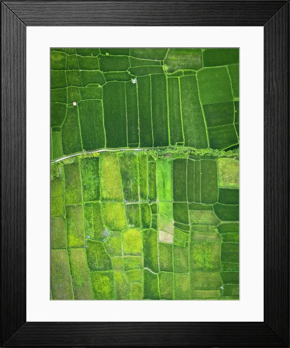 Framed Print : Rice Terraces near Ubud, Bali, Indonesia Framed Print : Rice Terraces near Ubud, Bali, Indonesia