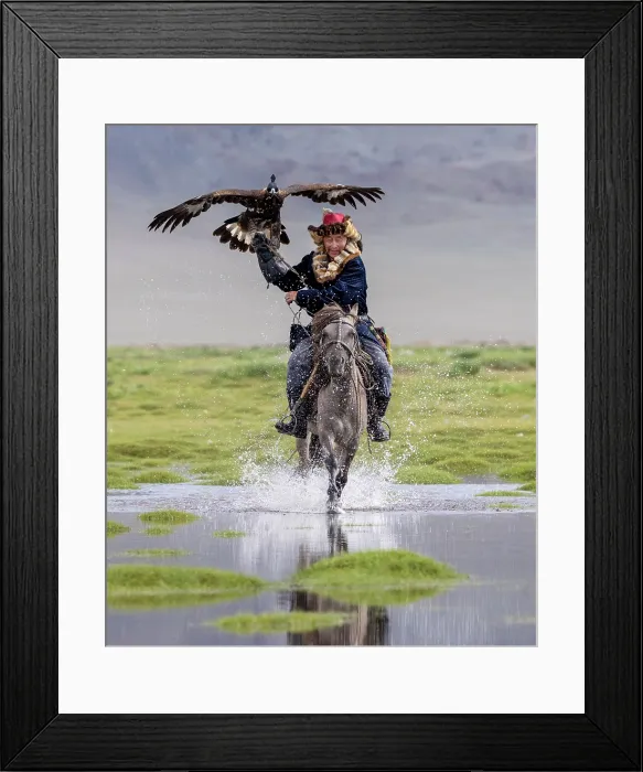 Framed Print : Kazakh Eagle hunter galloping through water on horseback with his trained golden eagle, Bayan-Ulgii Province, Western Mongolia, Asia Framed Print : Kazakh Eagle hunter galloping through water on horseback with his trained golden eagle, Bayan-Ulgii Province, Western Mongolia, Asia