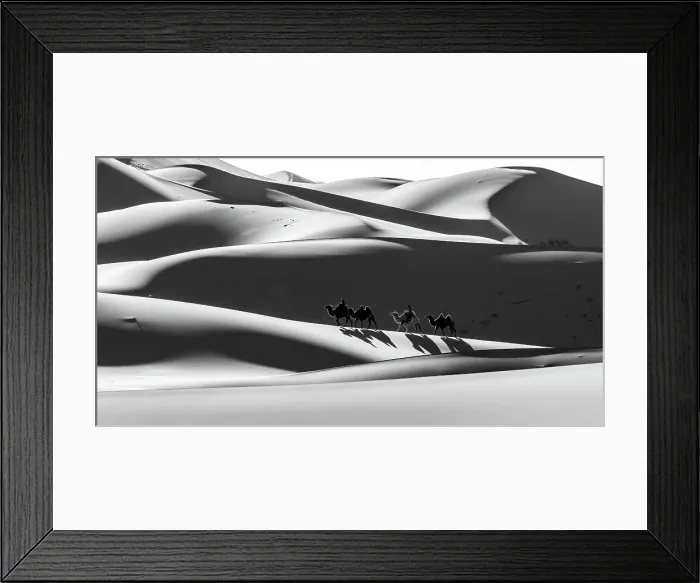 Framed Print : Camel herders and camels in the Khongor Dunes, Gobi Desert, Mongolia, Asia Framed Print : Camel herders and camels in the Khongor Dunes, Gobi Desert, Mongolia, Asia