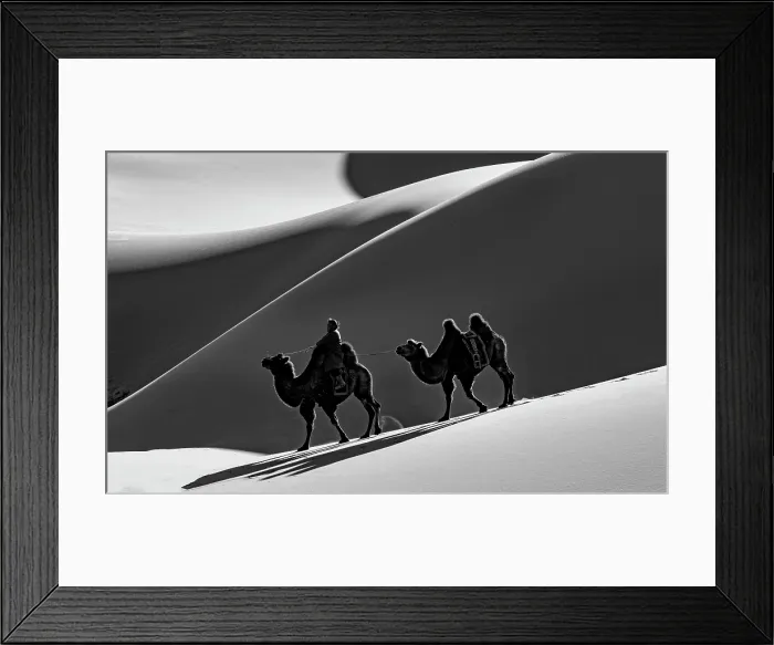 Framed Print : Camel herder and camels in the Khongor Dunes, Gobi Desert, Mongolia, Asia Framed Print : Camel herder and camels in the Khongor Dunes, Gobi Desert, Mongolia, Asia