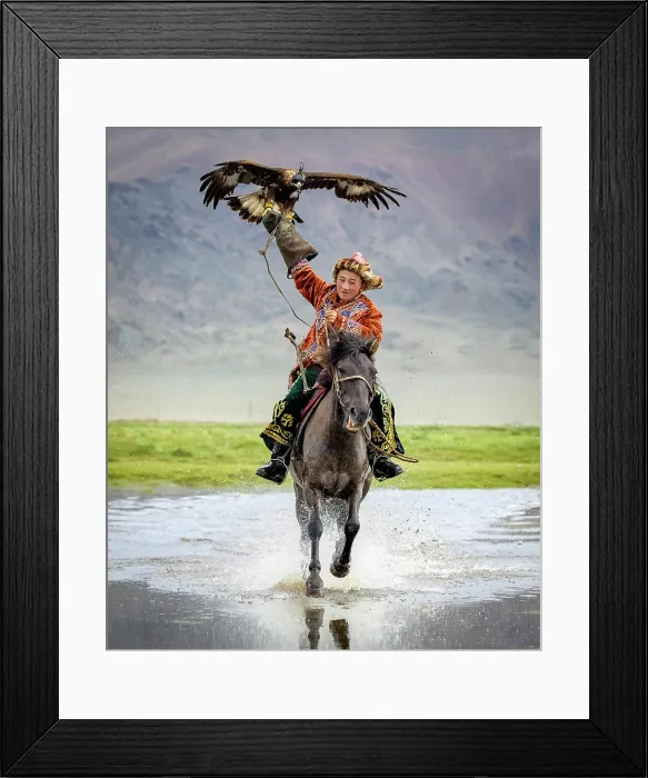 Framed Print : Young Kazakh Eagle hunter galloping through water on horseback with his trained golden eagle, Bayan-Ulgii Province, Western Mongolia, Asia