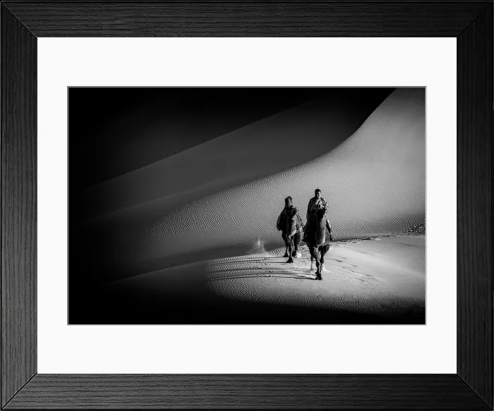 Framed Print : Camel herder and camels in the Khongor Dunes, Gobi Desert, Mongolia, Asia Framed Print : Camel herder and camels in the Khongor Dunes, Gobi Desert, Mongolia, Asia