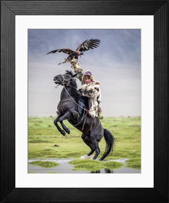 Framed Print : Kazakh Eagle hunter on horseback with his trained golden eagle, Bayan-Ulgii Province, Western Mongolia, Asia Framed Print : Kazakh Eagle hunter on horseback with his trained golden eagle, Bayan-Ulgii Province, Western Mongolia, Asia