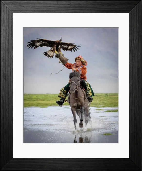 Framed Print : Young Kazakh Eagle hunter galloping through water on horseback with his trained golden eagle, Bayan-Ulgii Province, Western Mongolia, Asia Framed Print : Young Kazakh Eagle hunter galloping through water on horseback with his trained golden eagle, Bayan-Ulgii Province, Western Mongolia, Asia