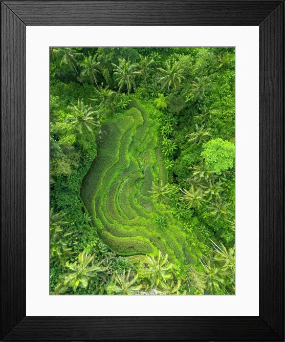 Framed Print : Rice Terraces, Tegallalang, near Ubud, Bali, Indonesia Framed Print : Rice Terraces, Tegallalang, near Ubud, Bali, Indonesia