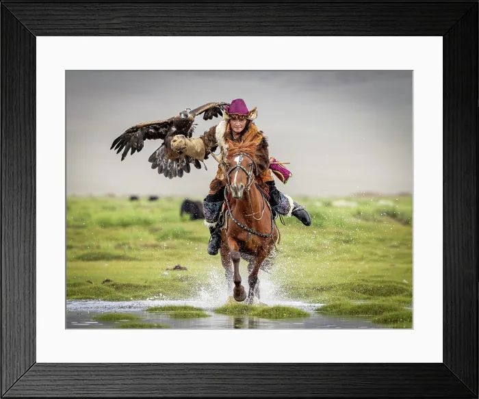 Framed Print : Kazakh Eagle hunter galloping through water on horseback with his trained golden eagle, Bayan-Ulgii Province, Western Mongolia, Asia Framed Print : Kazakh Eagle hunter galloping through water on horseback with his trained golden eagle, Bayan-Ulgii Province, Western Mongolia, Asia