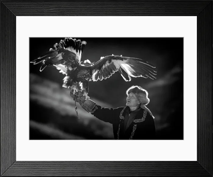 Framed Print : Portrait of a Kazakh Eagle Hunter with his golden eagle, Western Mongolia, Asia Framed Print : Portrait of a Kazakh Eagle Hunter with his golden eagle, Western Mongolia, Asia
