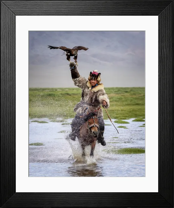 Framed Print : Kazakh Eagle hunter galloping through water on horseback with his trained golden eagle, Bayan-Ulgii Province, Western Mongolia, Asia Framed Print : Kazakh Eagle hunter galloping through water on horseback with his trained golden eagle, Bayan-Ulgii Province, Western Mongolia, Asia