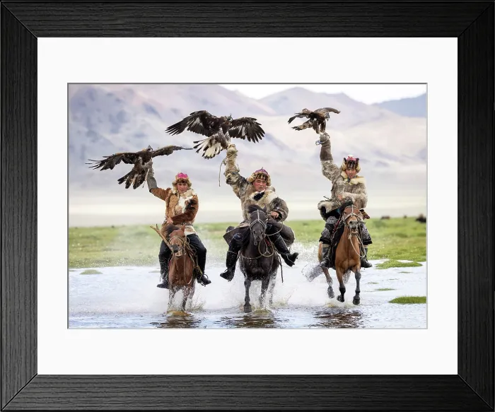 Framed Print : Three Kazakh Eagle hunters galloping through water on horseback with their trained golden eagles, Bayan-Ulgii Province, Western Mongolia, Asia