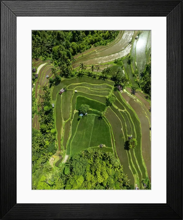 Framed Print : Terraced rice fields, northern Bali, Bali, Indonesia