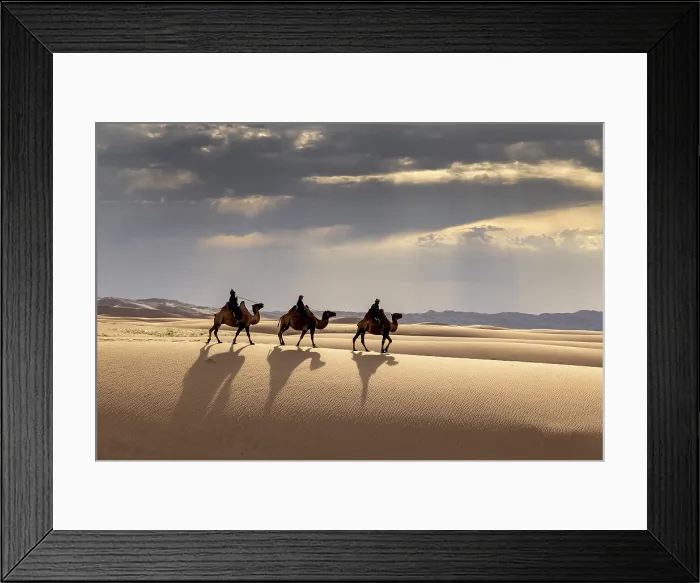 Framed Print : Three camel herders riding their camels in the Khongor Dunes, Gobi Desert, Mongolia, Asia Framed Print : Three camel herders riding their camels in the Khongor Dunes, Gobi Desert, Mongolia, Asia