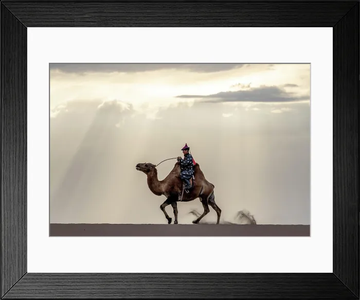 Framed Print : Camel herder riding his camel, Khongor Dunes, Gobi Desert, Mongolia, Asia Framed Print : Camel herder riding his camel, Khongor Dunes, Gobi Desert, Mongolia, Asia