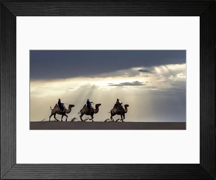 Framed Print : Three camel herders riding their camels in the Khongor Dunes, Gobi Desert, Mongolia, Asia Framed Print : Three camel herders riding their camels in the Khongor Dunes, Gobi Desert, Mongolia, Asia