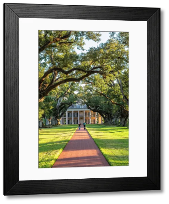 Framed Print : Oak Alley Plantation; Louisiana, USA, North America Framed Print : Oak Alley Plantation; Louisiana, USA, North America