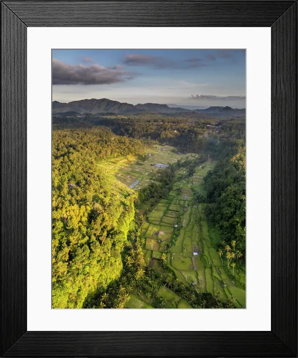 Framed Print : Terraced rice fields, East Bali, Bali, Indonesia Framed Print : Terraced rice fields, East Bali, Bali, Indonesia