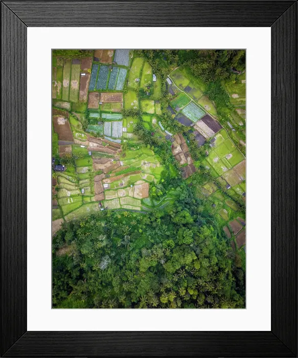 Framed Print : Terraced rice fields, East Bali, Bali, Indonesia Framed Print : Terraced rice fields, East Bali, Bali, Indonesia