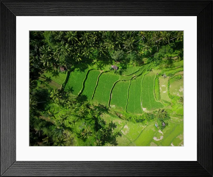 Framed Print : Terraced rice fields, East Bali, Bali, Indonesia Framed Print : Terraced rice fields, East Bali, Bali, Indonesia