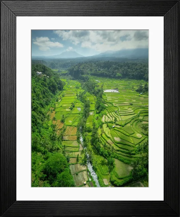 Framed Print : Terraced rice fields & Mount Agung volcano (highest mountain in Bali) Bali, Indonesia Framed Print : Terraced rice fields & Mount Agung volcano (highest mountain in Bali) Bali, Indonesia
