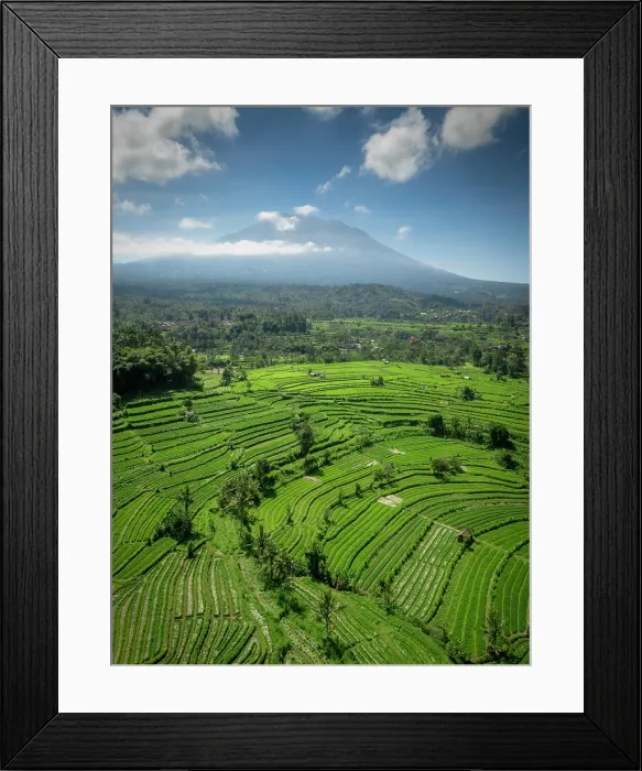 Framed Print : Terraced rice fields & Mount Agung volcano (highest mountain in Bali) Bali, Indonesia Framed Print : Terraced rice fields & Mount Agung volcano (highest mountain in Bali) Bali, Indonesia