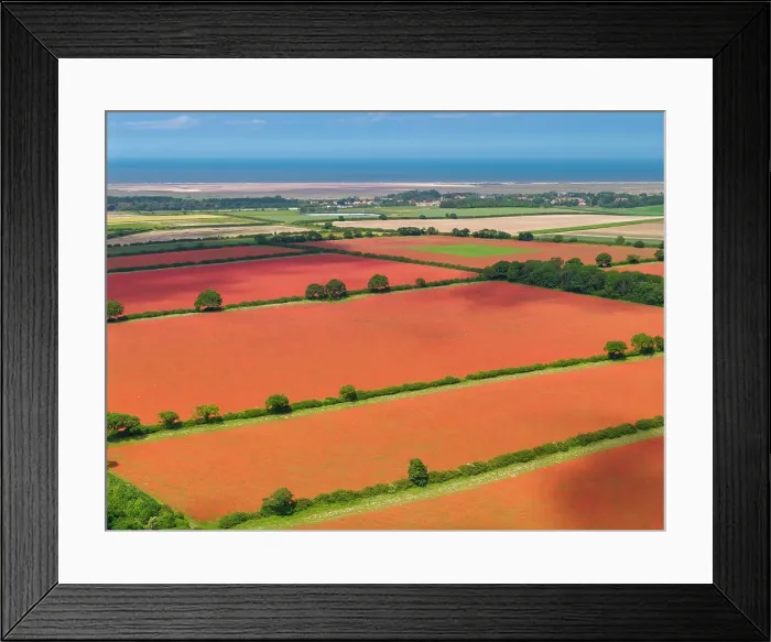 Framed Print : Aerial View over Poppy Fields, near Ringstead, Norfolk, England