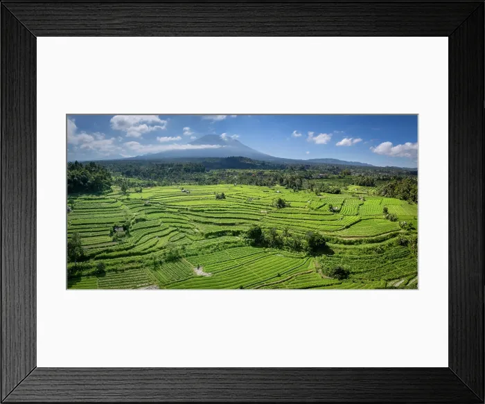 Framed Print : Terraced rice fields & Mount Agung volcano (highest mountain in Bali) Bali, Indonesia Framed Print : Terraced rice fields & Mount Agung volcano (highest mountain in Bali) Bali, Indonesia