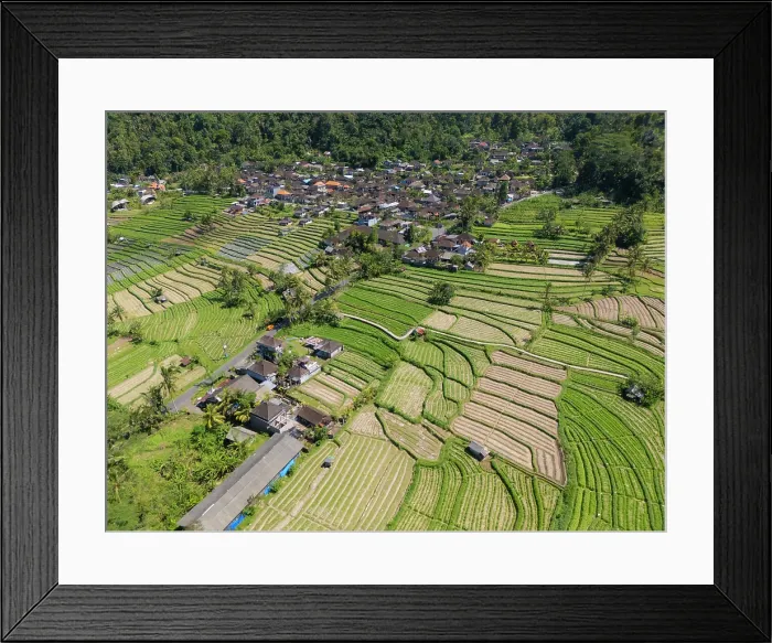 Framed Print : Terraced rice fields, Sideman, Bali, Indonesia Framed Print : Terraced rice fields, Sideman, Bali, Indonesia