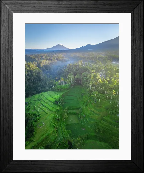 Framed Print : Rice tewrraces in East Bali, Bali, Indonesia