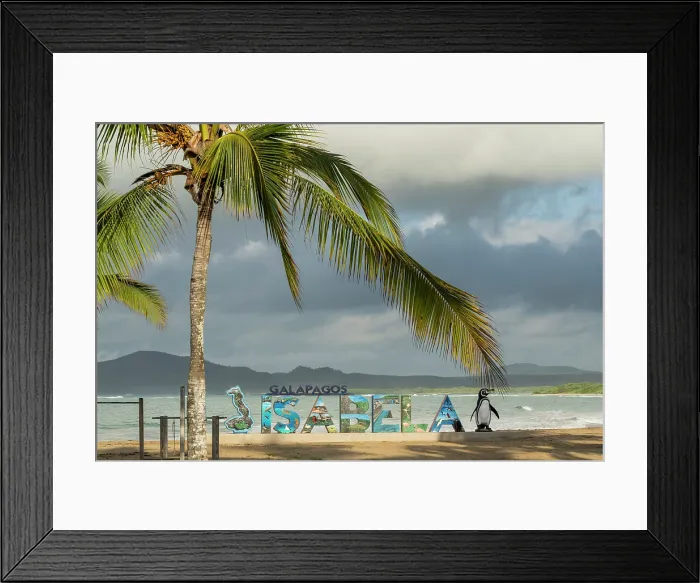 Framed Print : Puerto Villamil Beach, Isla Isabela, Galapagos Islands, Ecuador Framed Print : Puerto Villamil Beach, Isla Isabela, Galapagos Islands, Ecuador