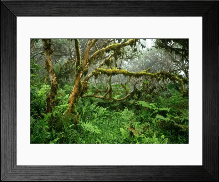 Framed Print : Sierra Negra volcano, Isabela Island, Galapagos Islands, Ecuador