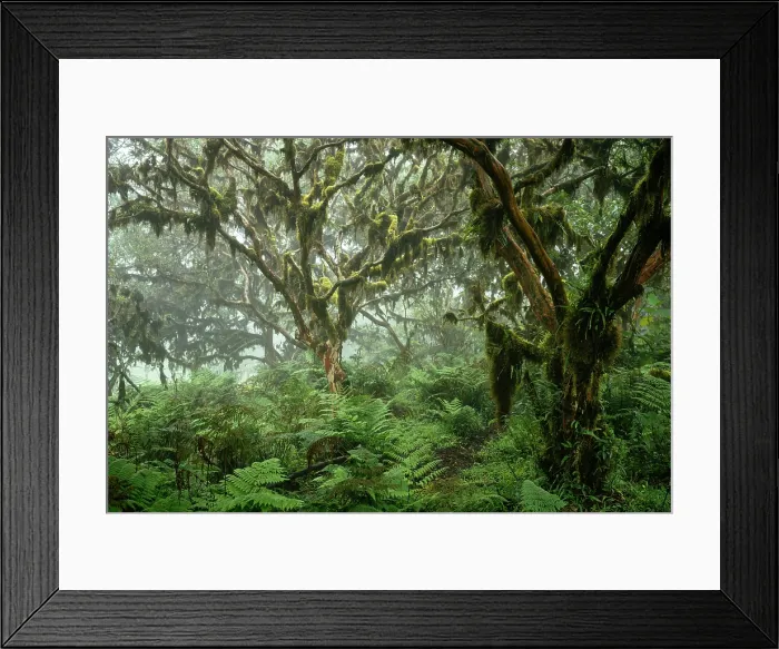 Framed Print : Sierra Negra volcano, Isabela Island, Galapagos Islands, Ecuador Framed Print : Sierra Negra volcano, Isabela Island, Galapagos Islands, Ecuador