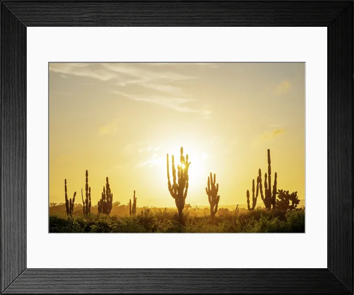 Framed Print : Isla Isabela, Galapagos Islands, Ecuador Framed Print : Isla Isabela, Galapagos Islands, Ecuador
