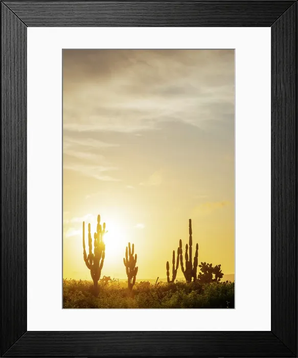 Framed Print : Isla Isabela, Galapagos Islands, Ecuador Framed Print : Isla Isabela, Galapagos Islands, Ecuador