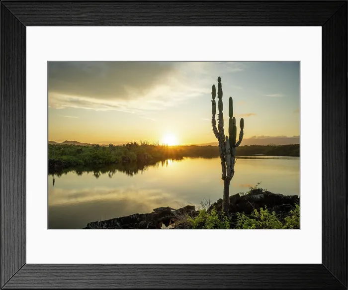 Framed Print : Isla Isabela, Galapagos Islands, Ecuador Framed Print : Isla Isabela, Galapagos Islands, Ecuador