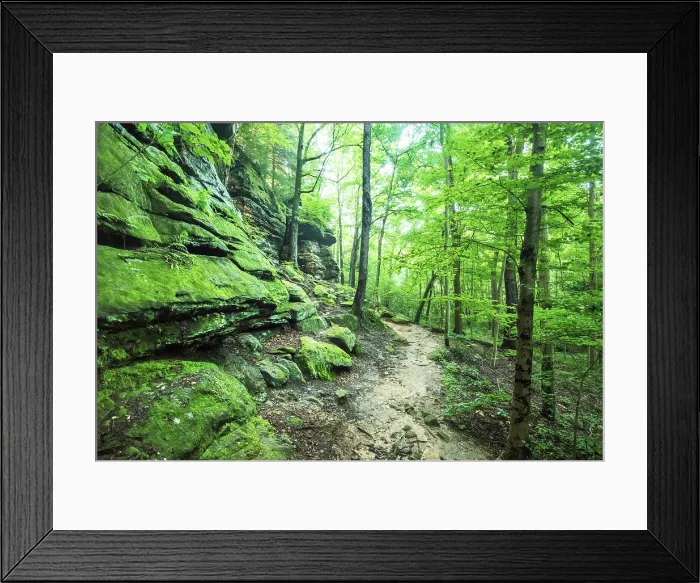 Framed Print : USA, Akron, Ohio, The Ledges Is A Trail Of Ancient Towering Rock Formations And Sandstone Cliffs, Cuyahoga Valley National Park Framed Print : USA, Akron, Ohio, The Ledges Is A Trail Of Ancient Towering Rock Formations And Sandstone Cliffs, Cuyahoga Valley National Park